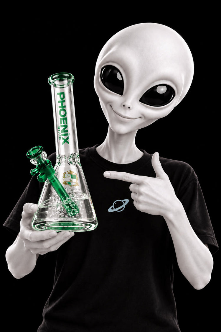 Bong & Rigs