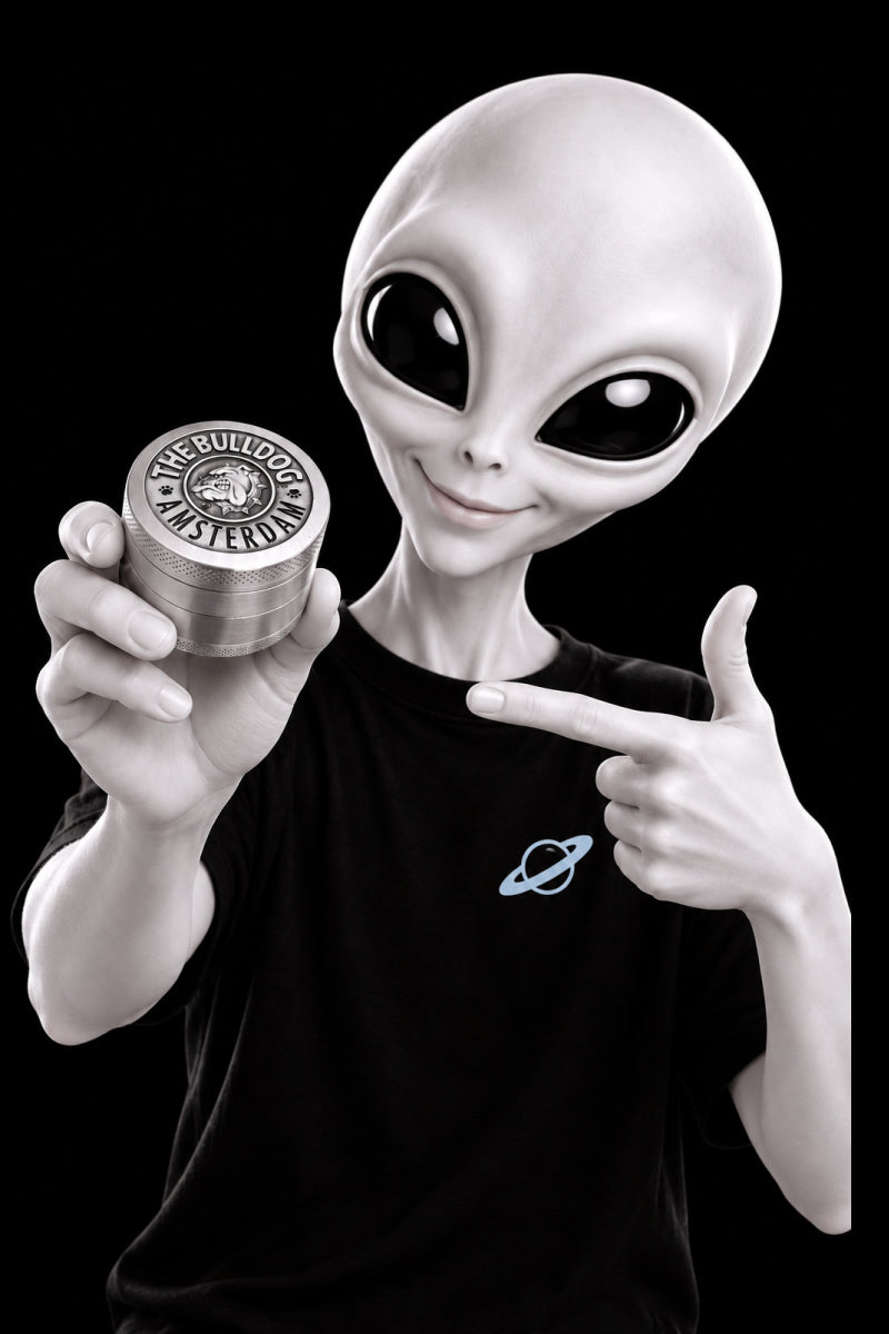 Moledores