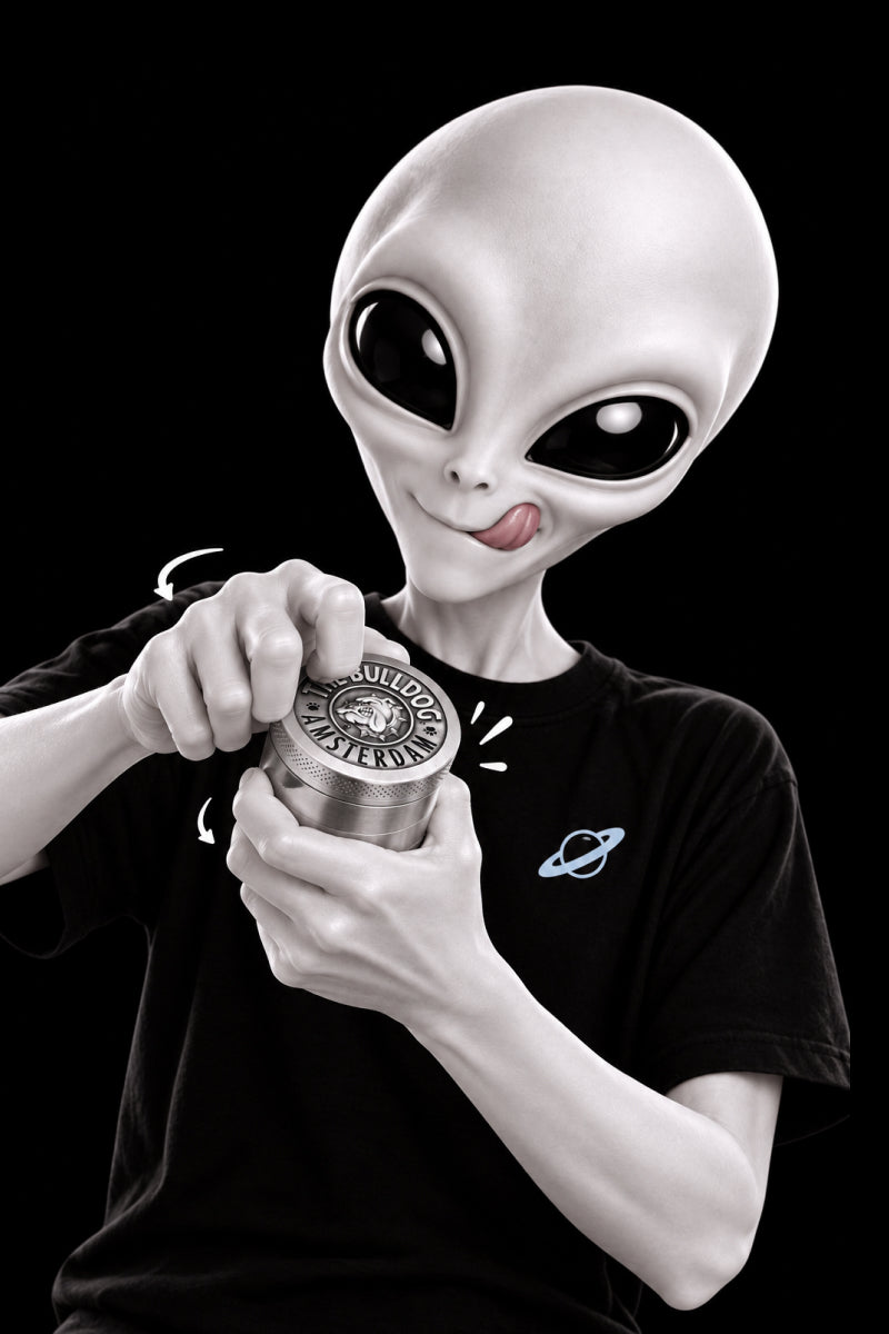 Moledores - hover