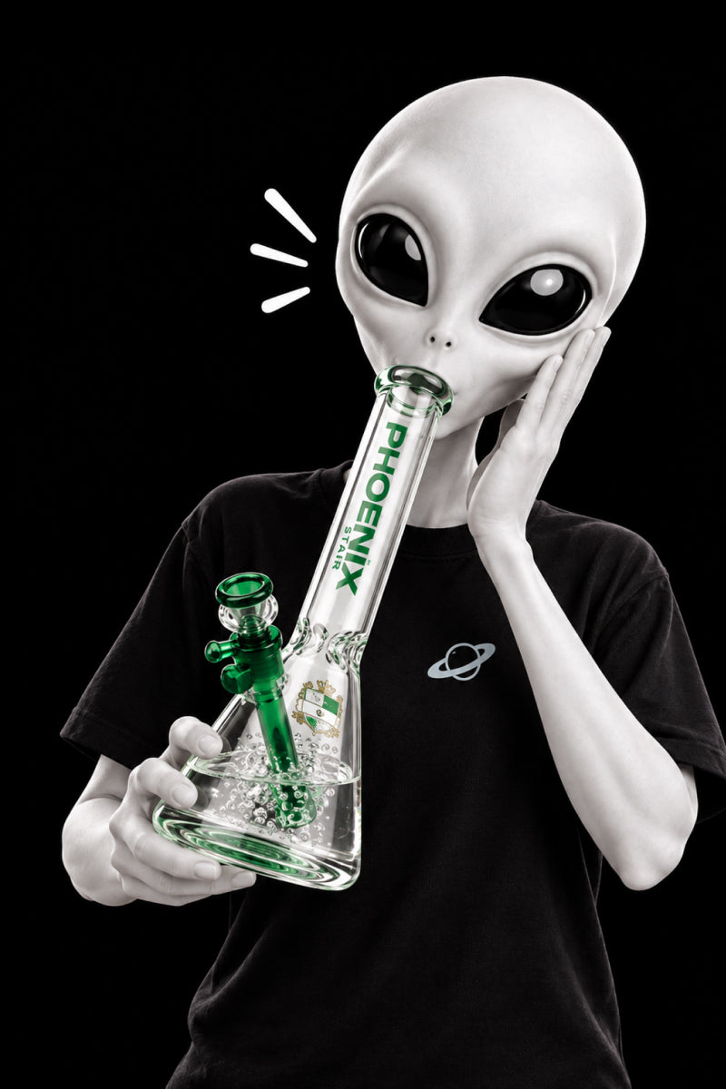 Bong & Rigs - hover
